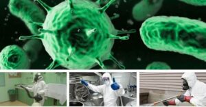 Desinfeccion virus bacterias y hongos 770x400 1