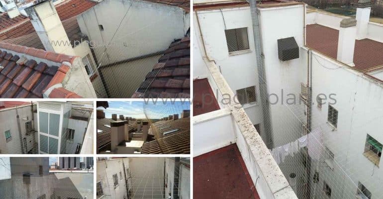 Red para control de aves en patios 1 opt 770x400 1