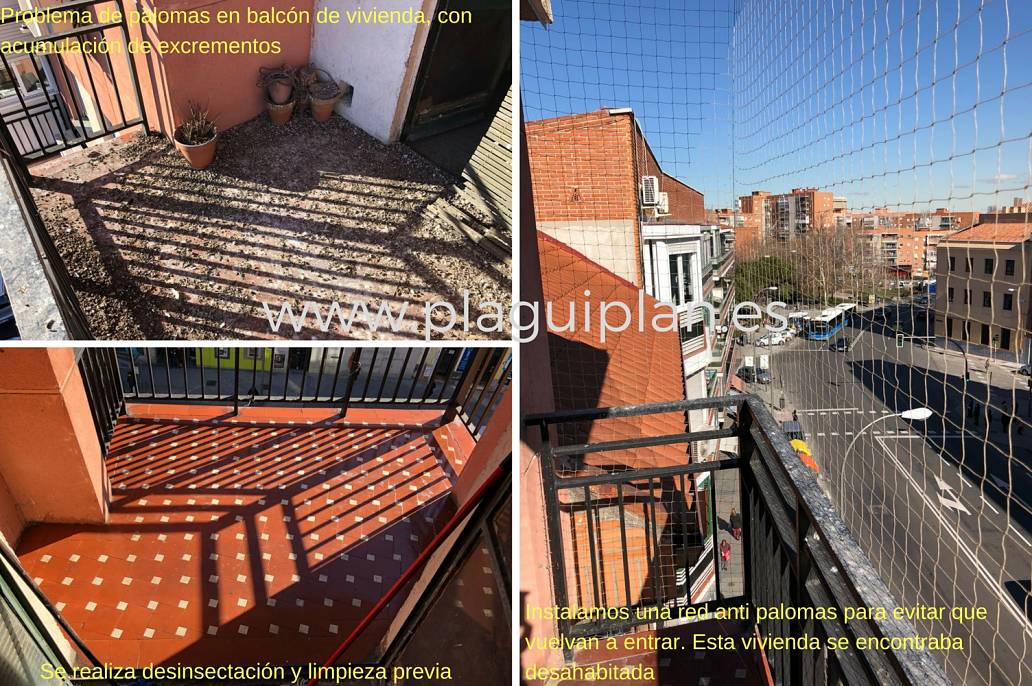 Limpieza y red anti palomas en terraza