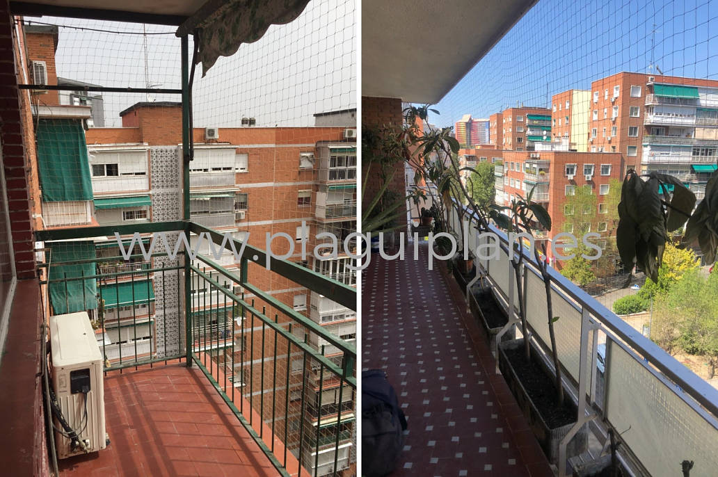 Problema de palomas terraza o balcón de vivienda