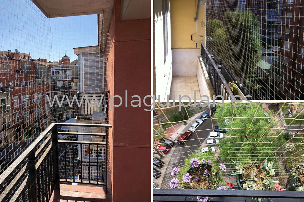 Problema de palomas terraza o balcón de vivienda