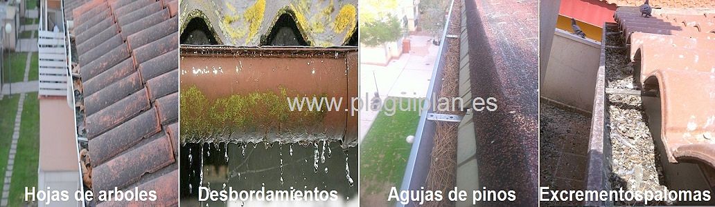 Limpieza de canalones de agua y bajantes - Plaguiplan