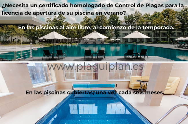 Certificado de control de plagas para piscinas e1581676880980