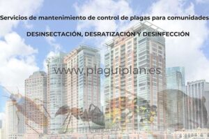 Importancia del control regular de plagas para áreas residenciales