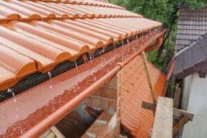 limpieza-y-mantenimiento-de-canalones