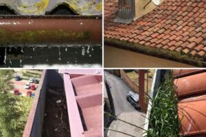 por-que-es-importante-limpieza-canalones-de-agua