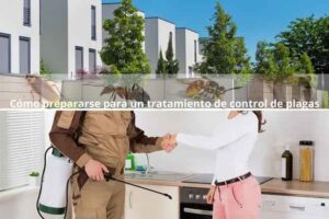 Cómo prepararse para un tratamiento de control de plagas