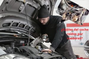 Proteja el cableado de su automóvil de ratas y ratones