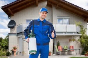 la-importancia-del-control-de-plagas