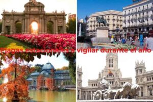 Plagas-estacionales-vigilar-durante-el-año