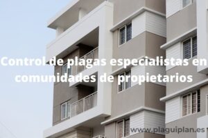 Control de plagas especialistas en comunidades