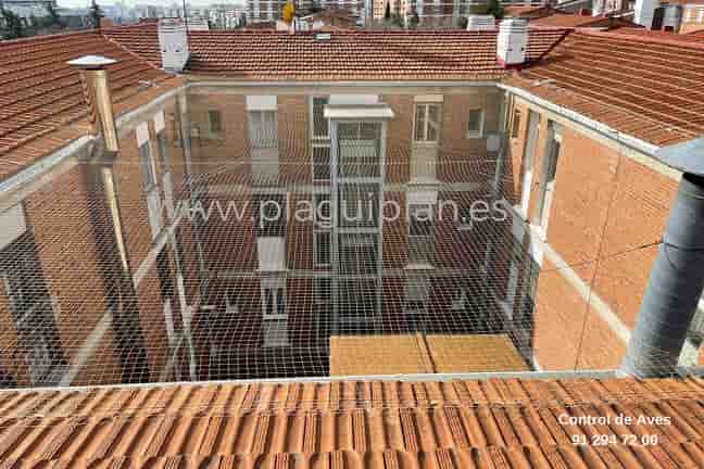 Ventajas y desventajas redes palomas