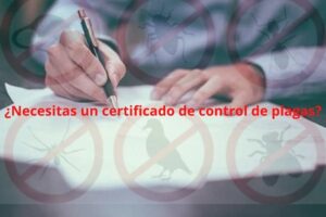 certificado de control de plagas