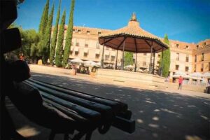 control de plagas en las rozas