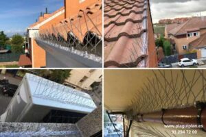 Instalación pinchos anti palomas Madrid