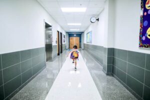 control-plagas-colegio-madrid