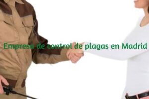 empresa-control-plagas-madrid