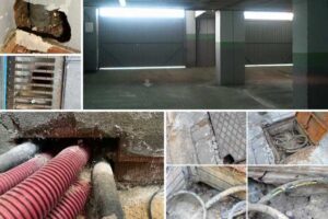 como-entran-los-roedores-a-mi-edificio