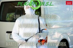 los-10-mejores-consejos-prueba-plagas-otoño