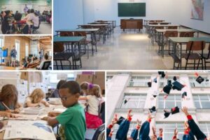 control-de-plagas-en-centros-educativos