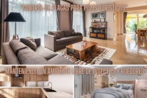 control-de-plagas-para-pisos-turísticos