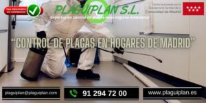 control-plagas-hogares-madrid
