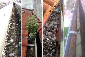 cuando-limpiar-los-canalones-de-agua