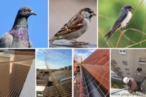 red-para-el-control-de-pájaros