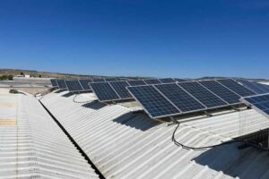 control-de-palomas-en-naves-industriales