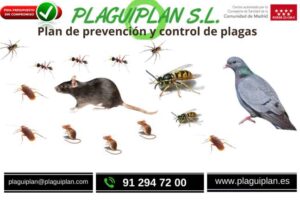 plan-de-prevención-y-control-de-plagas