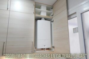 problema-de-cucarachas-en-calderas-de-gas