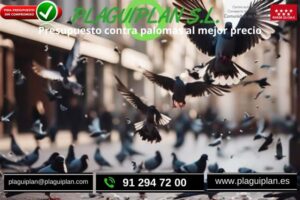 presupuesto contra palomas al mejor precio