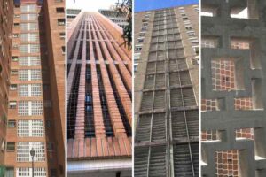 problema-de-palomas-en-celosías-de-tendederos