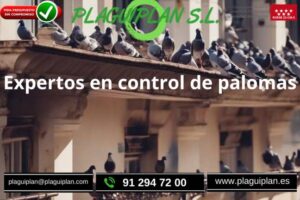 disuasión-de-palomas-en-edificaciones