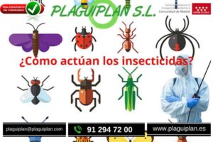 como-actúan-los-insecticidas