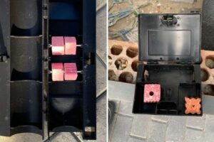 como-actúan-los-raticidas