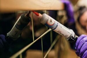 como-funcionan-los-geles-insecticidas