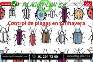control-de-plagas-en-primavera