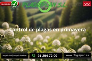 control-plagas-primavera