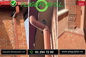 palomas-en-codos-de-bajantes