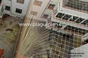 para-que-sirve-una-red-o-malla-antipajaros