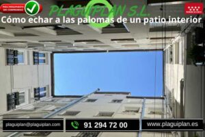 como-echar-a-las-palomas-de-un-patio-interior