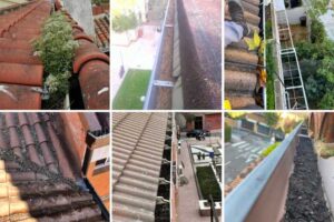 limpiar-canalones-en-tejado