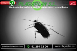 mantenimiento-control-vectores-comunidades