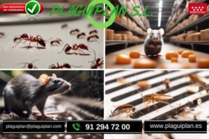 plagas-de-invierno-como-combatirlas