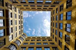 problema-palomas-patios-compartidos