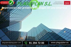 repercusion-por-plagas-en-una-empresa
