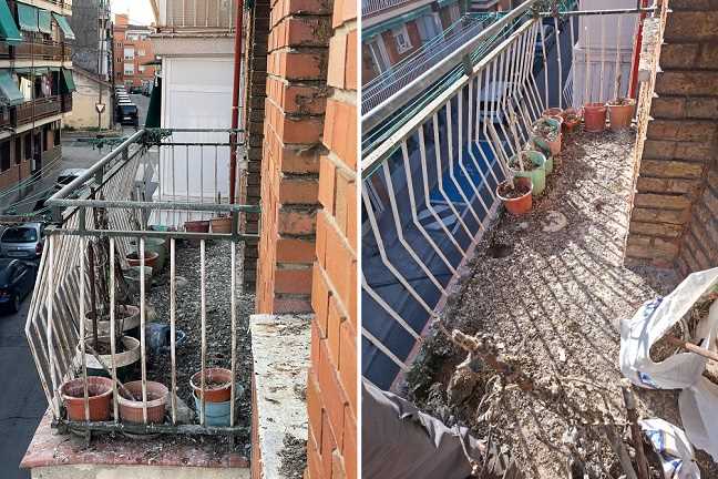 denuncia-por-un-problema-de-palomas