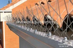 pinchos-antipalomas-en-canalones