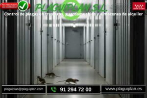 control-de-plagas-en-trasteros-y-guardamuebles